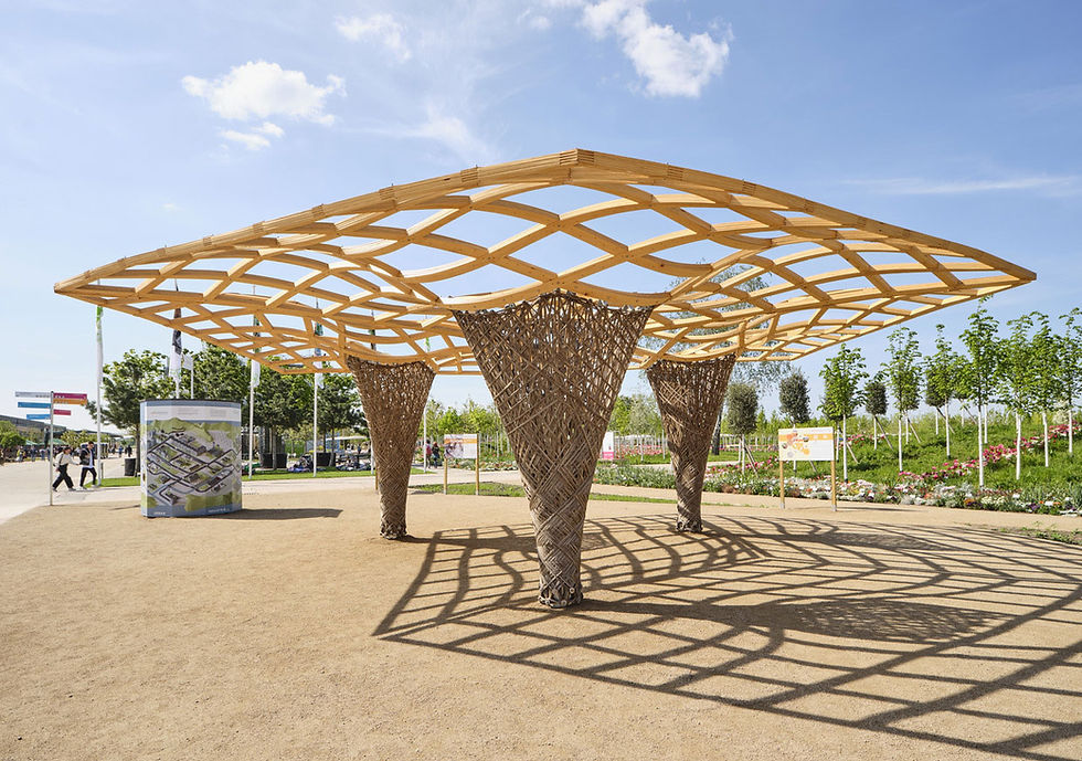 08_ReGrow-Timber-Canopy_KIT_DDF_OPT.jpg
