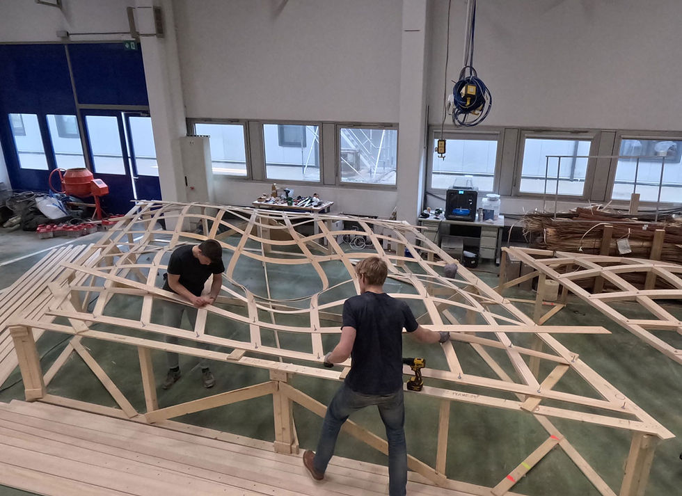 16_ReGrow-Timber-Canopy_KIT_DDF_OPT.jpg