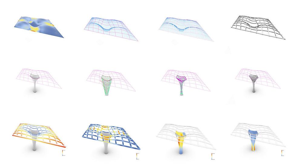20_ReGrow-Timber-Canopy_KIT_DDF_OPT.jpg